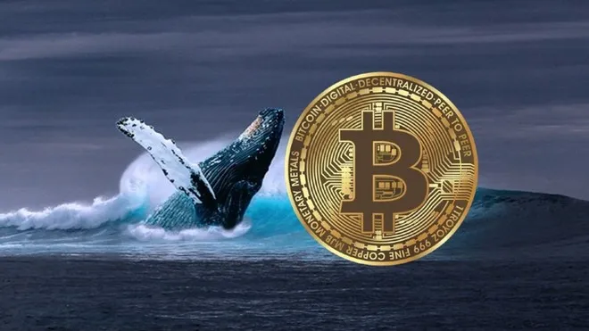 ca-voi-bitcoin.jpg ca-voi-bitcoin.jpg