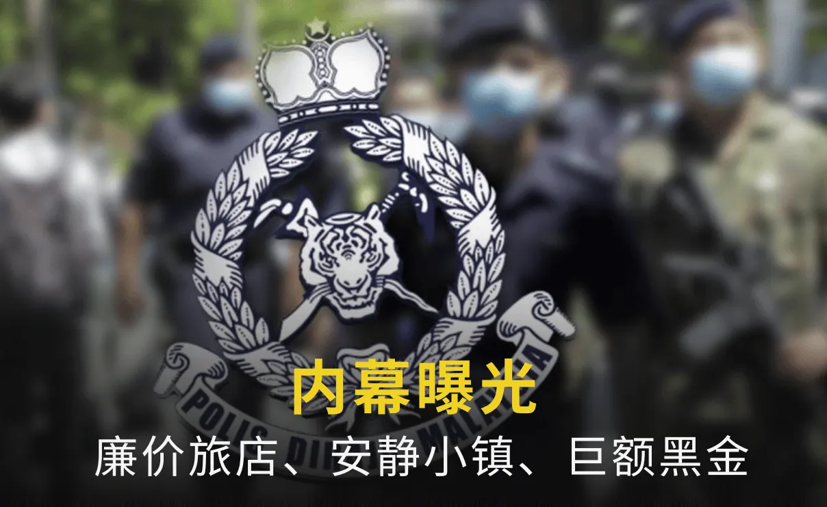 新加坡年轻交易员 (5).png 新加坡年轻交易员 (5).png