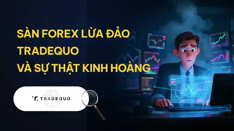 WikiFX cảnh báo sàn Forex lừa đảo TRADEQUO: Cấu trúc 'vỏ bọc quản lý' tinh vi