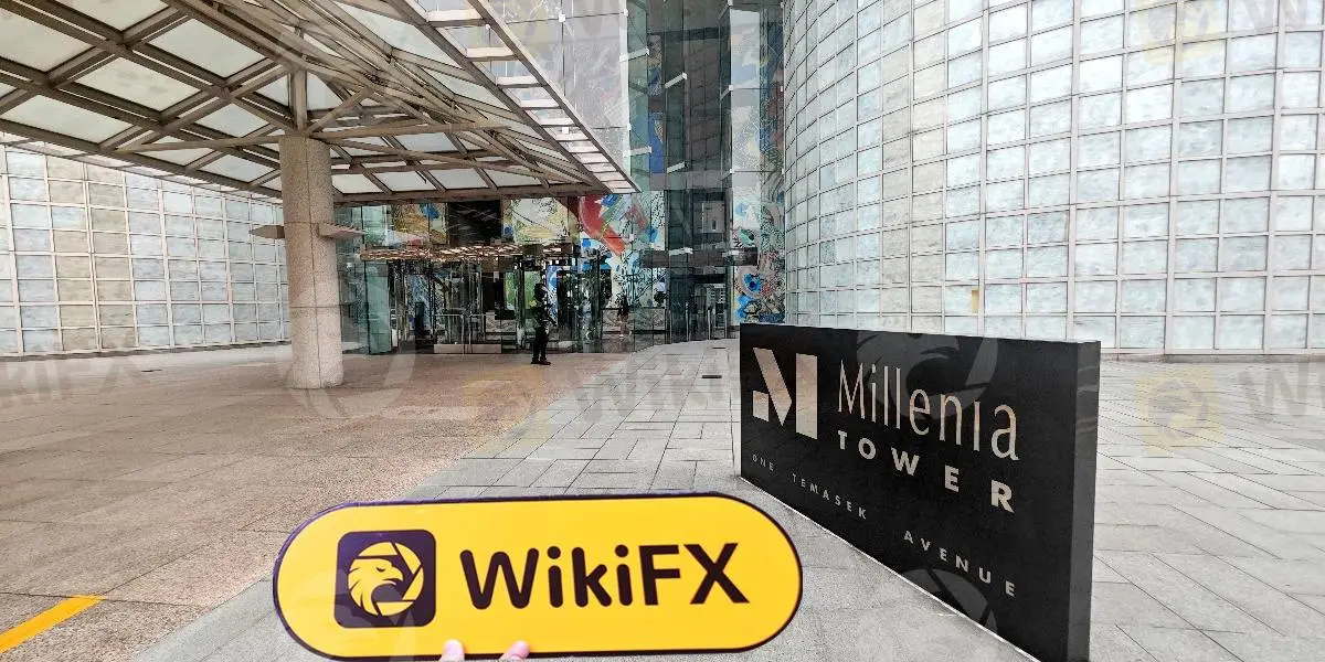 D Prime broker D Prime broker