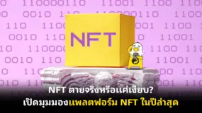 NFT ตายจริงหรือแค่เงียบ? เปิดมุมมองแพลตฟอร์ม NFT ในปีล่าสุด