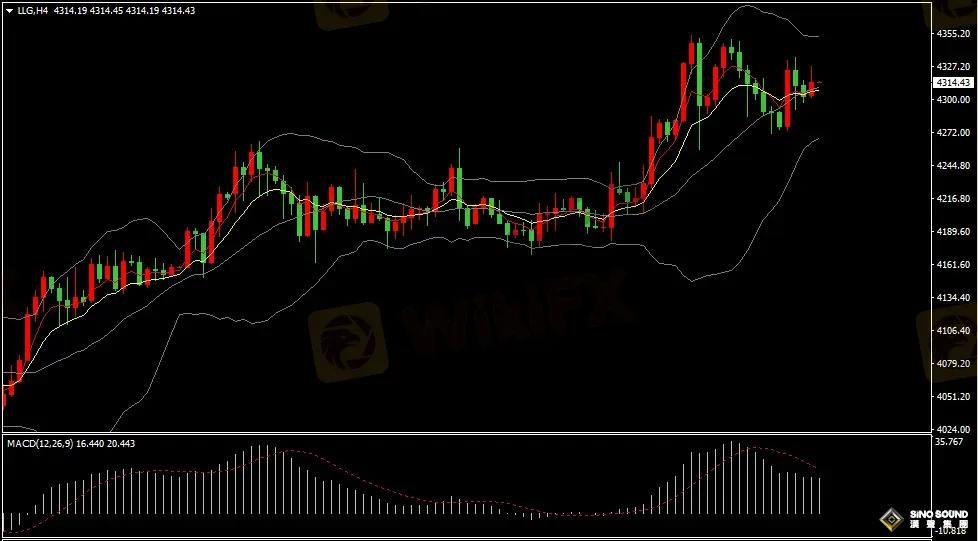 漢聲張新才:[12月17日早評]非農數據喜憂參半，國際金價沖高回落