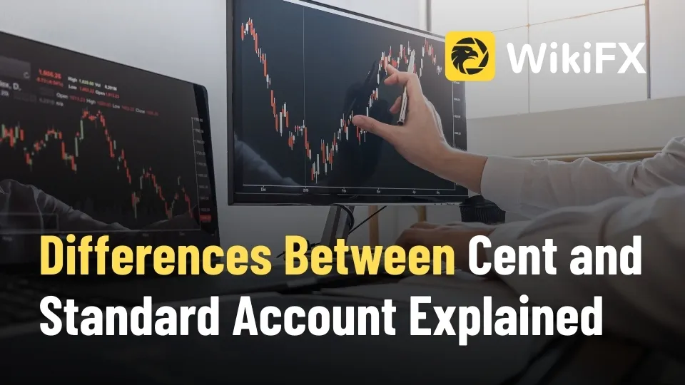 Differences Between Cent and Standard Account Explained.jpg Differences Between Cent and Standard Account Explained.jpg
