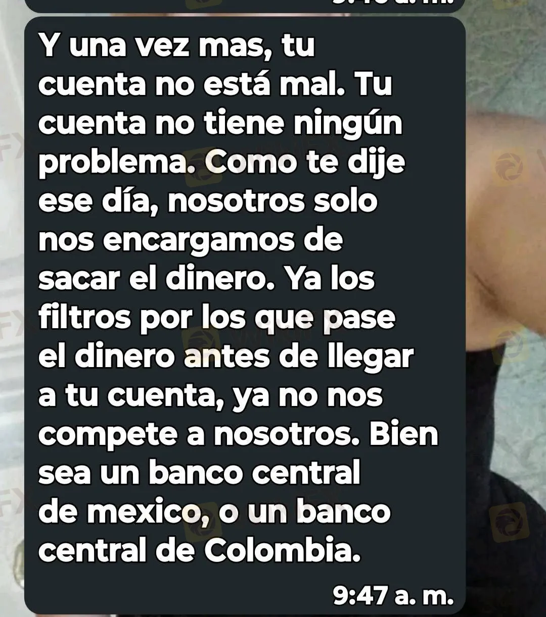 image - 2025-12-24T142918.638.jpg