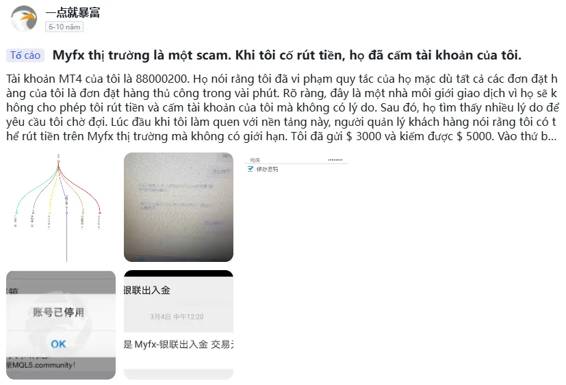bang-chung-to-cao-myfx-3.png