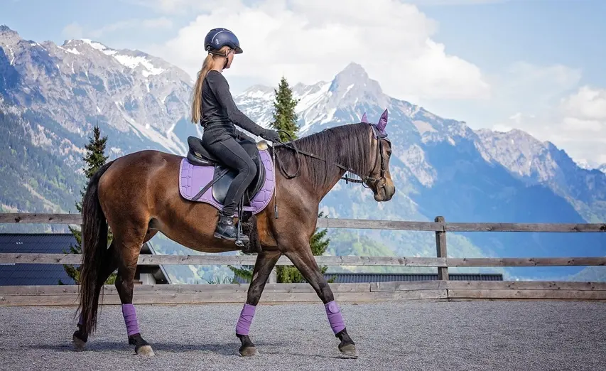 交易不敗之道：降速、降欲、穩心