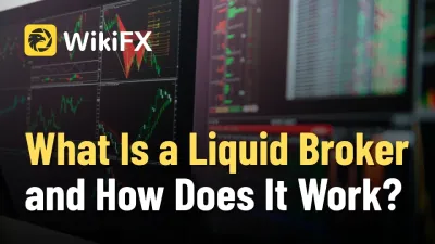 What Is a Liquid Broker and How Does It Work?