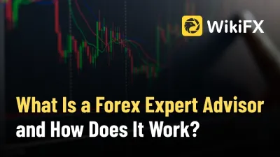 What Is a Forex Expert Advisor and How Does It Work?