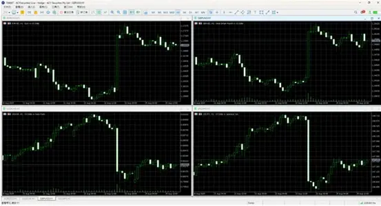 MT5圖表設定一步到位，交易小白也能立刻上手！