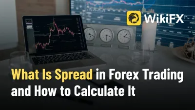 What Is Spread in Forex Trading and How to Calculate It