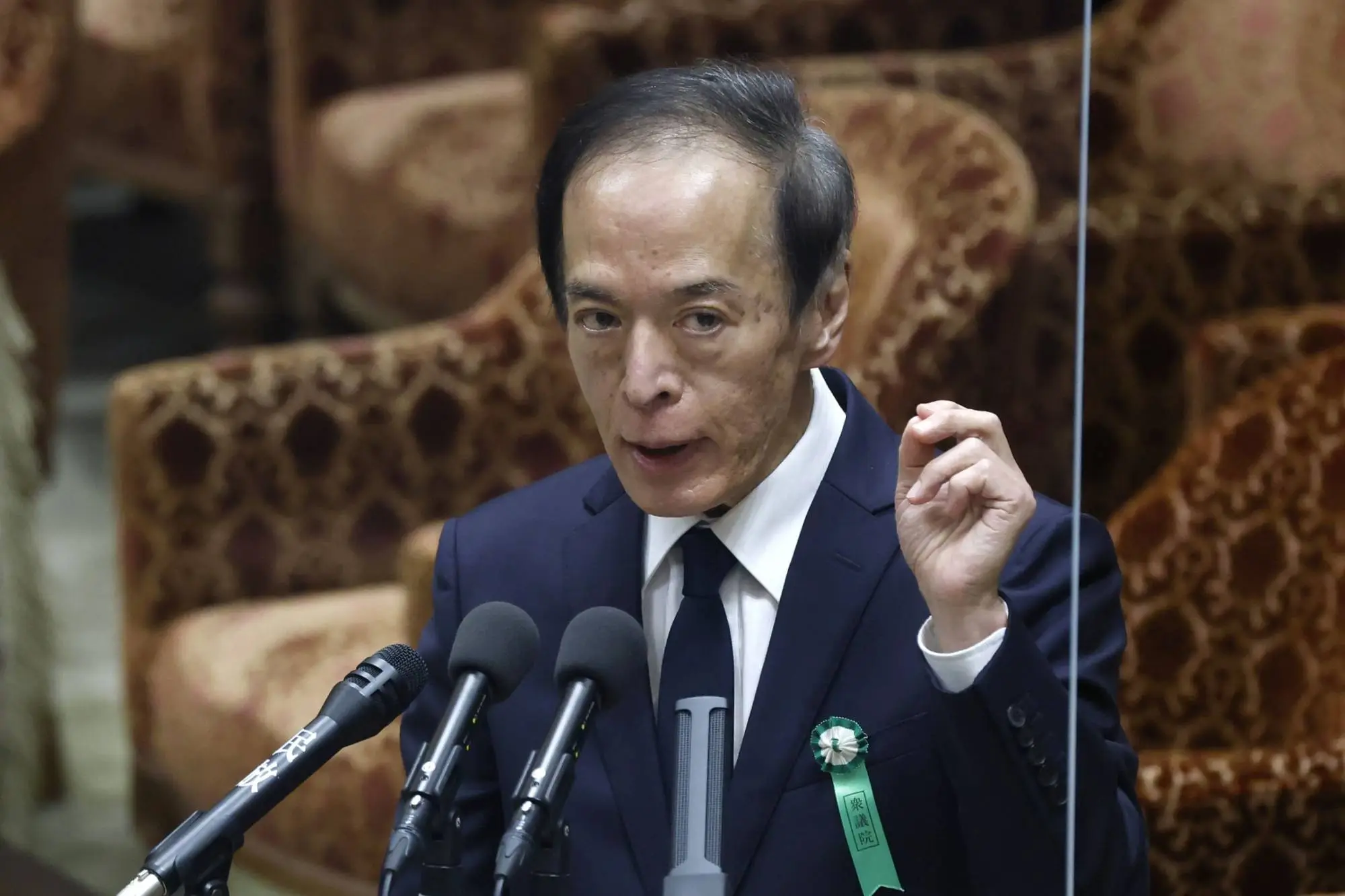 boj-governor-ueda.jpeg boj-governor-ueda.jpeg
