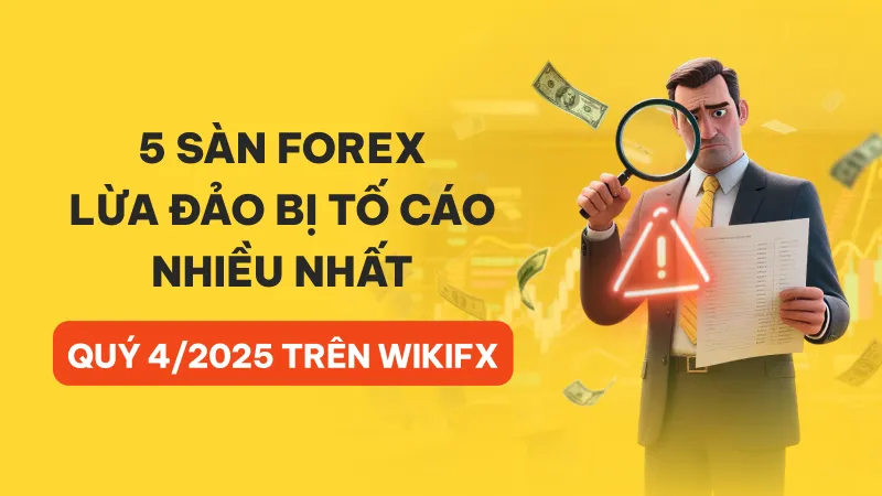 800x450.jpg