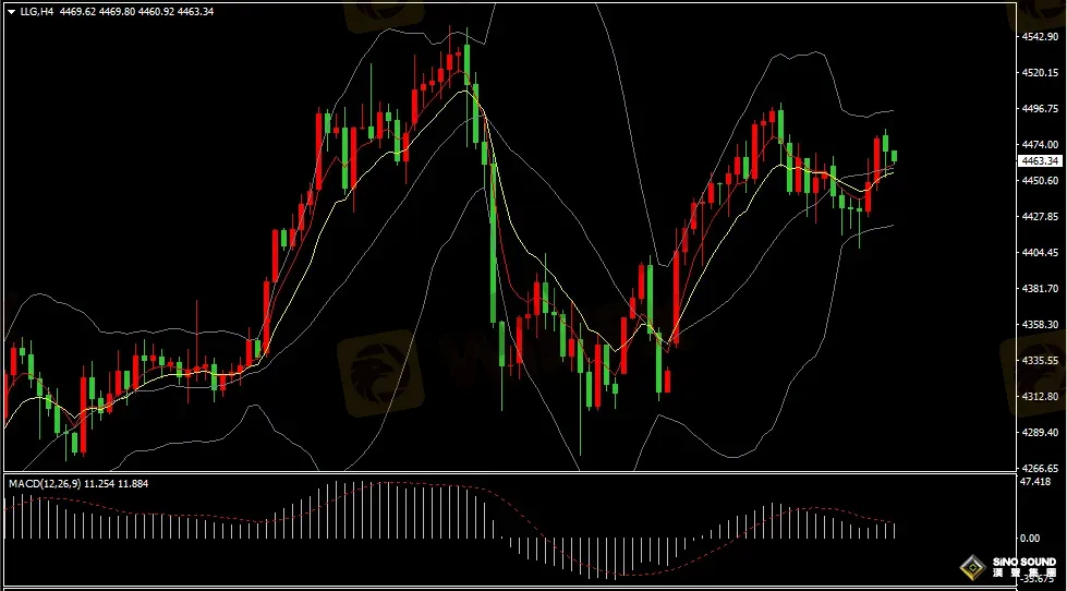 漢聲張新才:[1月9日早評]政治局勢不確定性，現貨黃金反彈回升