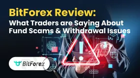 BitForex Review: What Traders are Saying About Fund Scams and Withdrawal Issues