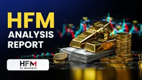 HFM Analysis Report