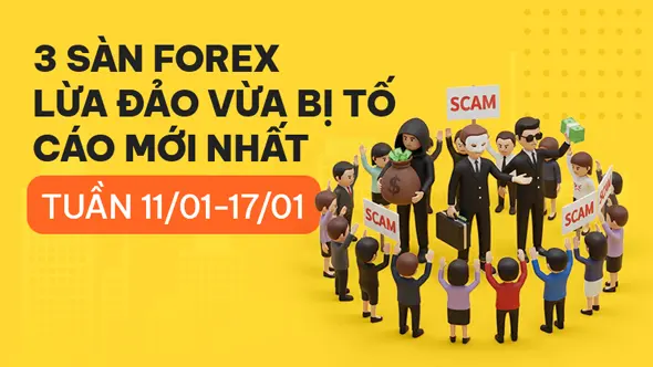 Điểm danh 3 sàn forex lừa đảo bị tố cáo mới nhất bởi người dùng WikiFX tuần 11/01-17/01