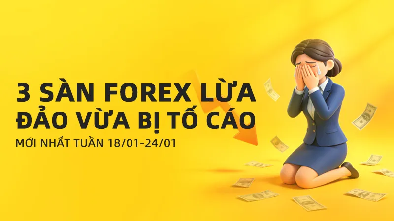 800x450 拷贝.jpg