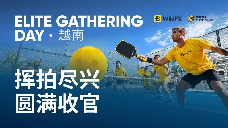 精英俱乐部成功举办行业匹克球交流活动