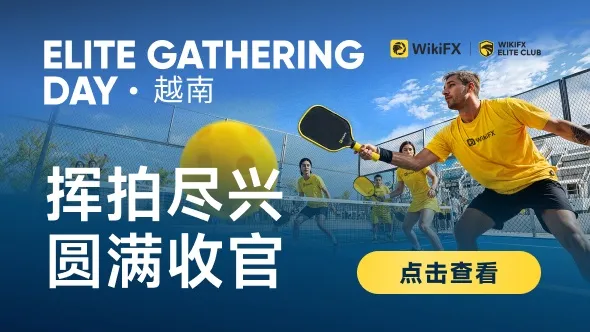 精英俱乐部成功举办行业匹克球交流活动