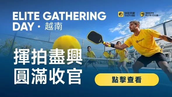 外匯天眼精英俱樂部成功舉辦行業匹克球交流活動