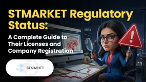 STMARKET Regulation: A Complete Guide to Their Licenses & Company Registration