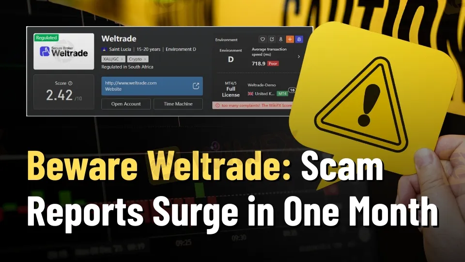 Beware Weltrade Scam Reports Surge in One Month.jpg Beware Weltrade Scam Reports Surge in One Month.jpg