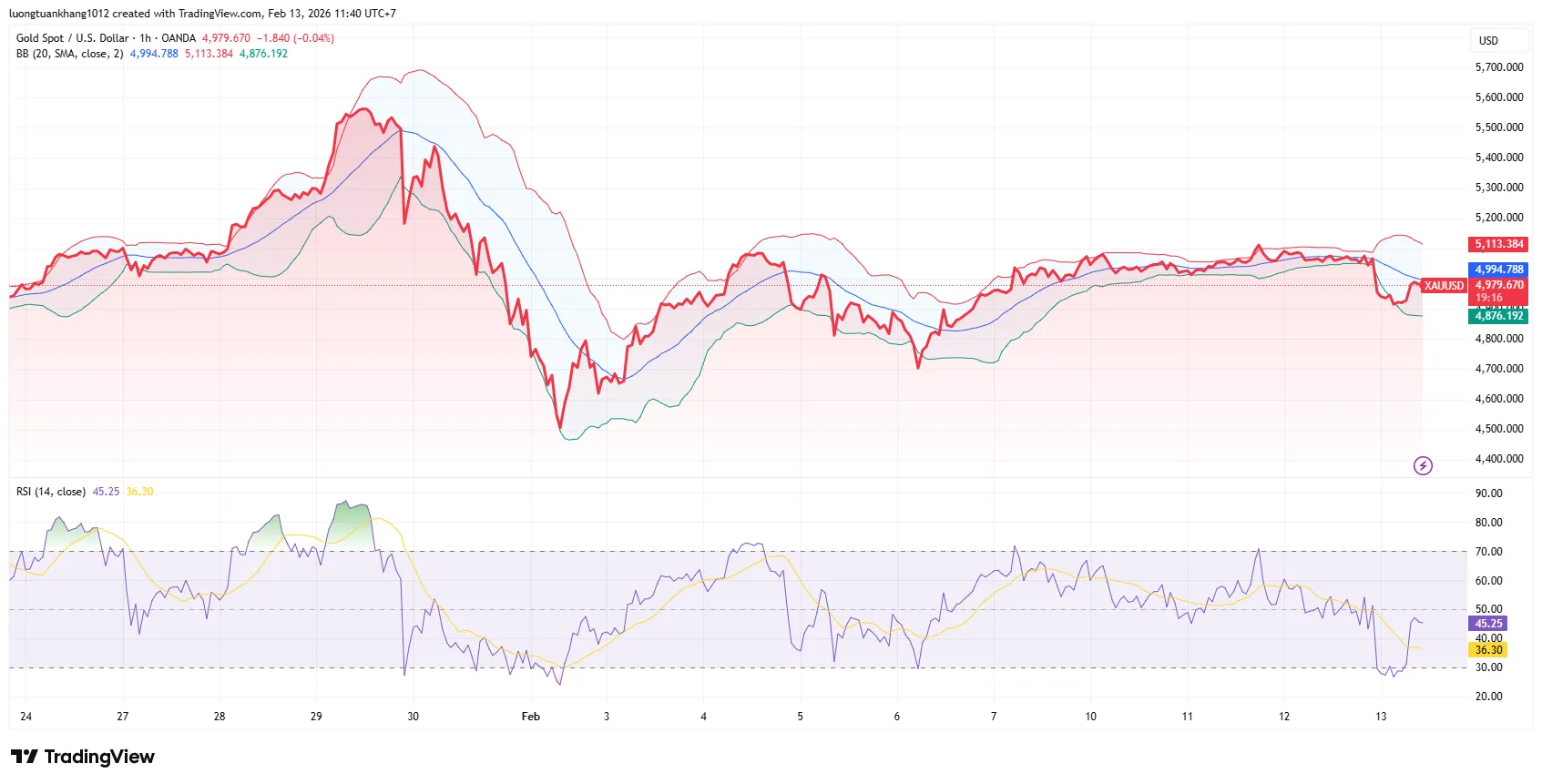 XAUUSD_2026-02-13_11-40-43.png
