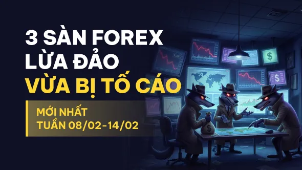 Điểm danh 3 sàn forex lừa đảo bị tố cáo mới nhất bởi người dùng WikiFX tuần 08/02-14/02