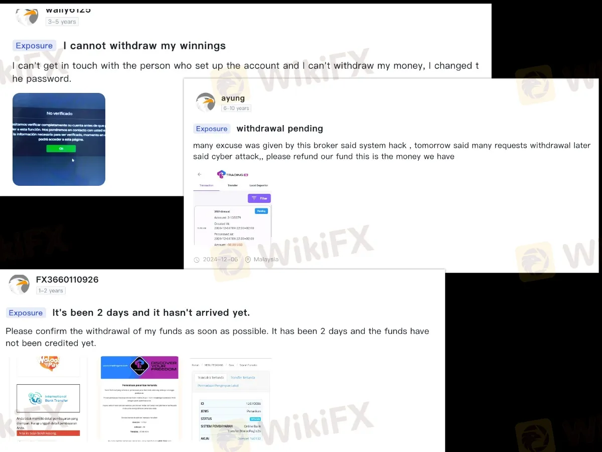 collage.jpg collage.jpg