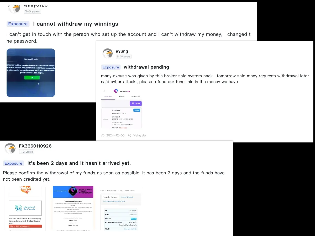 collage.jpg collage.jpg