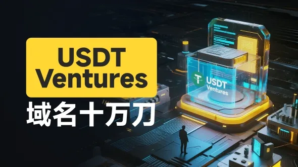 10万美元天价域名背后的连环骗局 借“鸽子费”榨干投资者，USDT Ventures被官方警示后“借尸还魂”