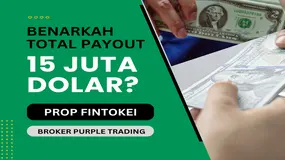 BENARKAH Fintokei Sudah Bayar Trader Total 15 Juta Dolar ?! Review Grup Broker Forex Purple Trading