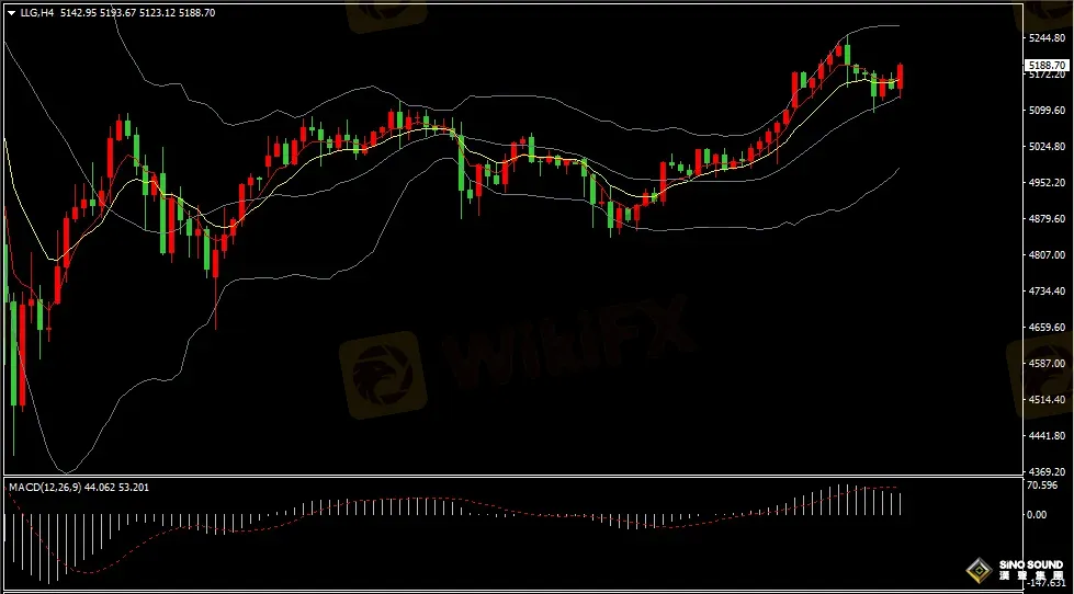 漢聲張新才:[2月25日早評]國際金價沖高回落，估計短線維持調整