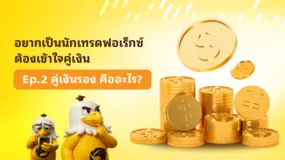 อยากเป็นนักเทรดฟอเร็กซ์ ต้องเข้าใจคู่เงิน Ep.2 คู่เงินรอง คืออะไร? 