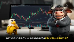 กราฟเขียวติดกัน = ตลาดกระทิงจริงหรือแค่รีบาวด์?