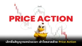 เลิกพึ่งสัญญาณหน่วงเวลา เข้าใจตลาดด้วย Price Action