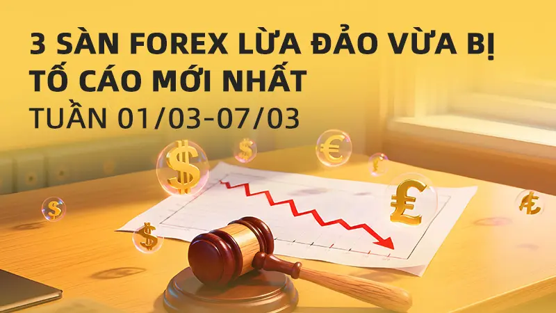 Điểm danh 3 sàn Forex lừa đảo bị tố cáo tuần 01-07/03 - Cảnh báo từ WikiFX
