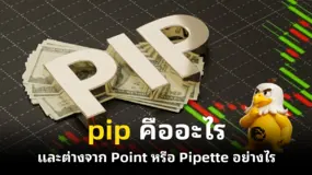  pip คืออะไร และต่างจาก Point หรือ Pipette อย่างไร