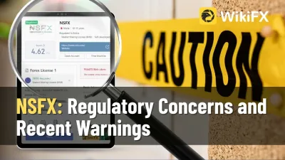 NSFX: A Closer Look on its Regulation and Reliability