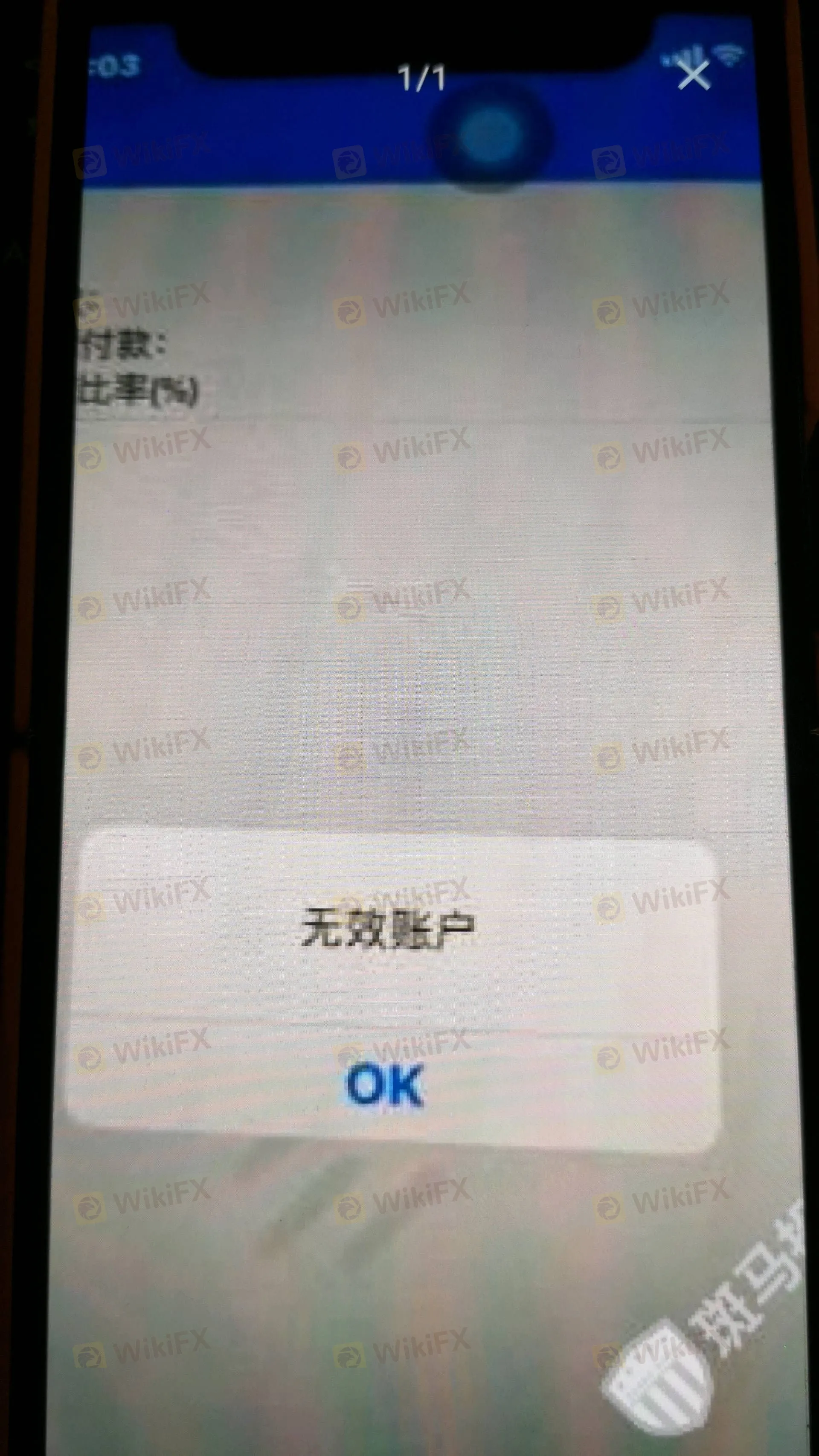 image - 2026-03-18T144100.818.jpg