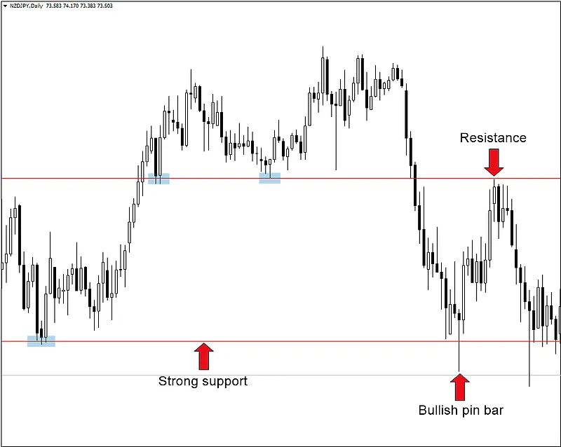 chart-5.png
