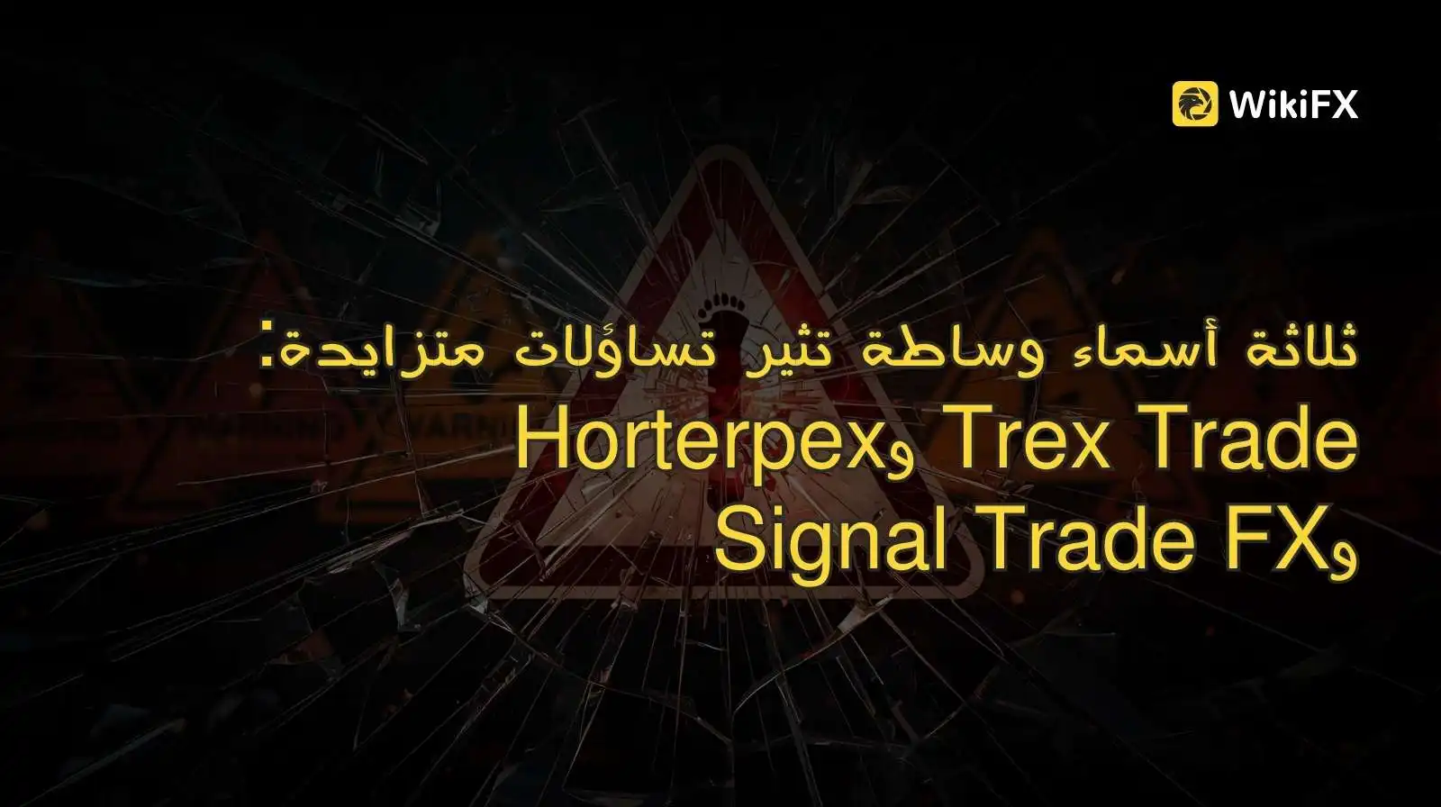 ثلاثة أسماء وساطة تثير تساؤلات متزايدة: Trex Trade وHorterpex وSignal Trade FX