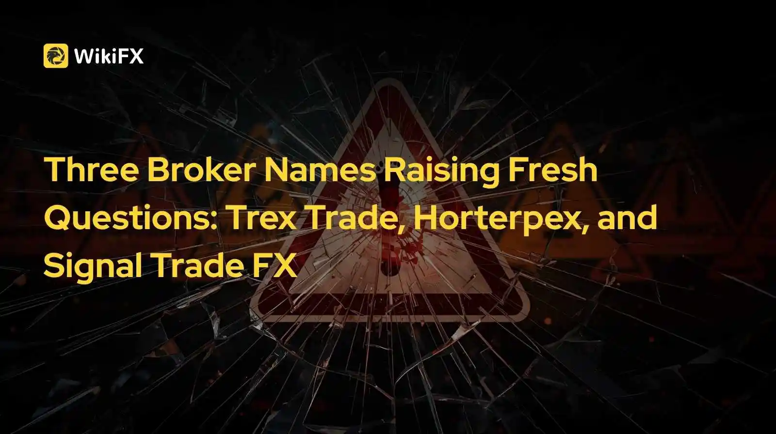 Three Broker Names Raising Fresh Questions: Trex Trade, Horterpex, and Signal Trade FX