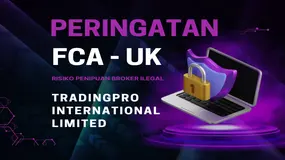 Kena Razia Online FCA Inggris: Review Risiko Penipuan Broker Forex Trading Pro International Limited