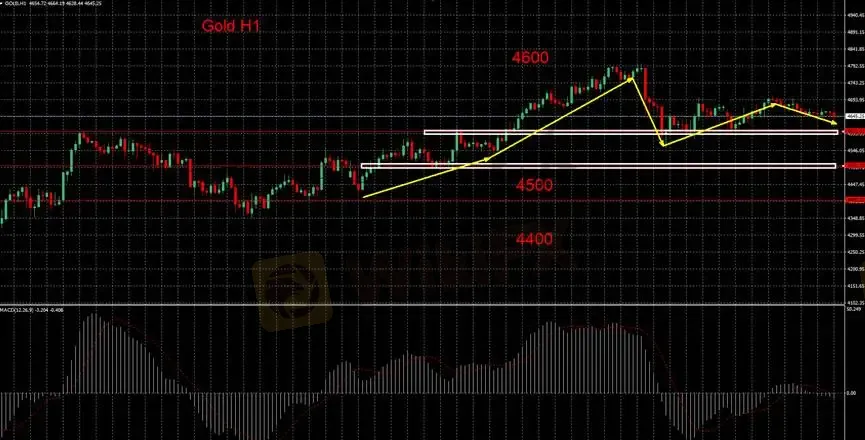 【圖二:黃金H1小時分析圖】