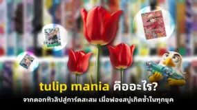 tulip mania คืออะไร? จากดอกทิวลิปสู่การ์ดสะสม เมื่อฟองสบู่เกิดซ้ำในทุกยุค