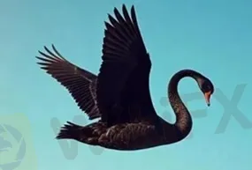 評價_詐騙_出金外匯天眼_券商_經紀商__黑平台.jpg 評價_詐騙_出金外匯天眼_券商_經紀商__黑平台.jpg