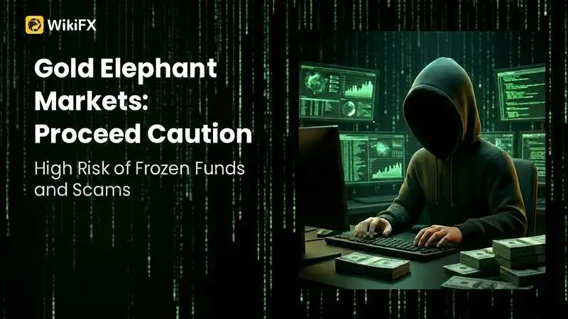 Gold Elephant Markets Review 2026: Is this Forex Broker Legit or a Scam?