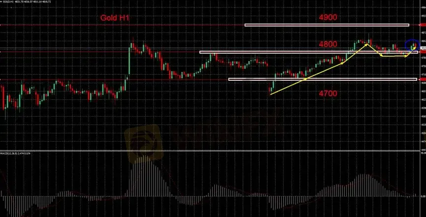 【图二:黄金H1小时分析图】