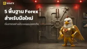 5 เรื่องพื้นฐานที่นักเทรด Forex มือใหม่ควรเข้าใจก่อนเริ่มต้น